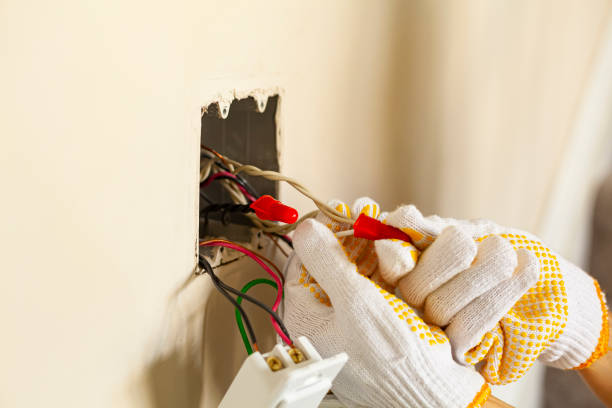 Best Electrical Maintenance Services  in Carrollton, AL